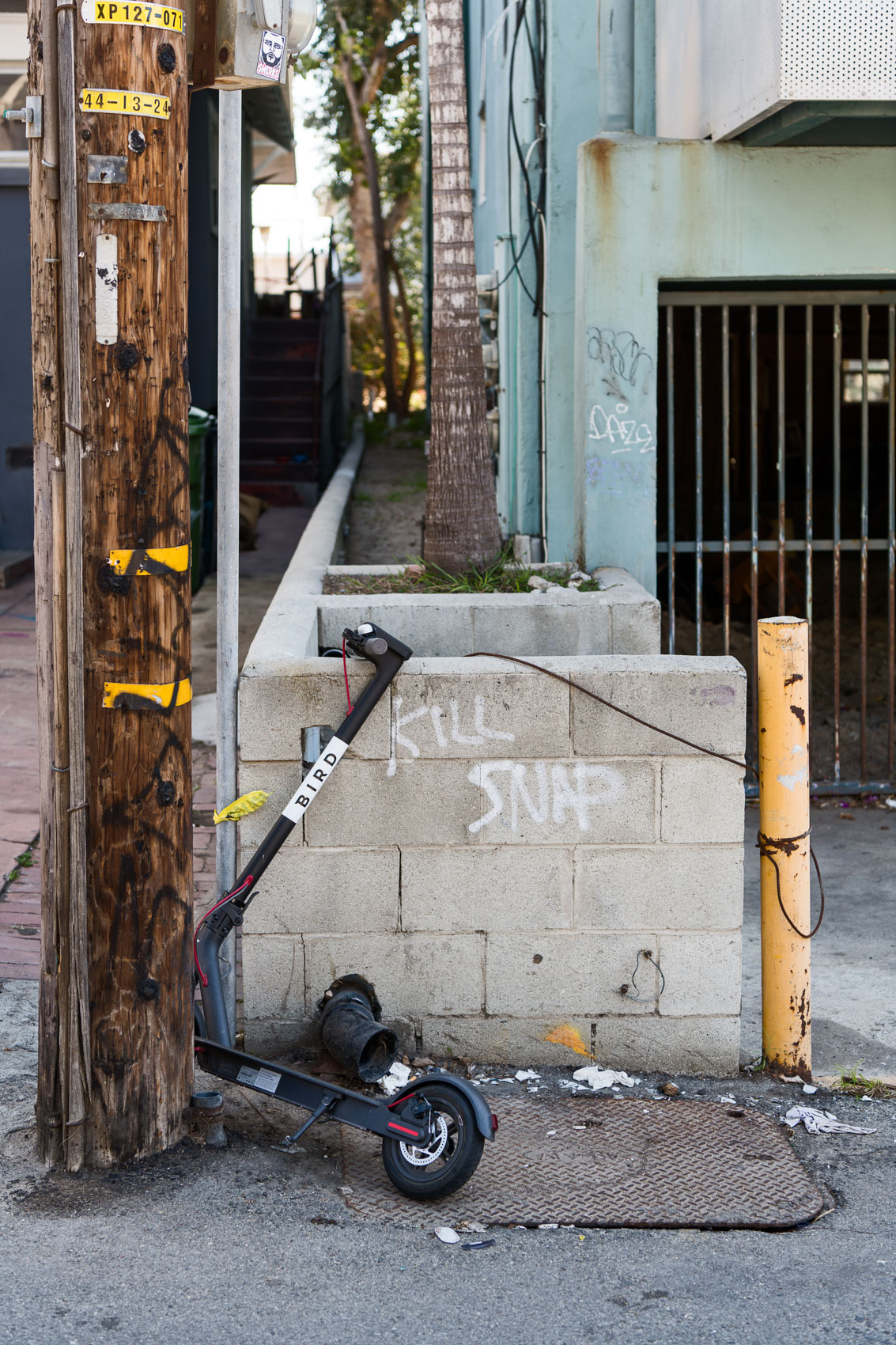Bird Scooter in alley with anti-Snapchat graffiti in Venice Beach.