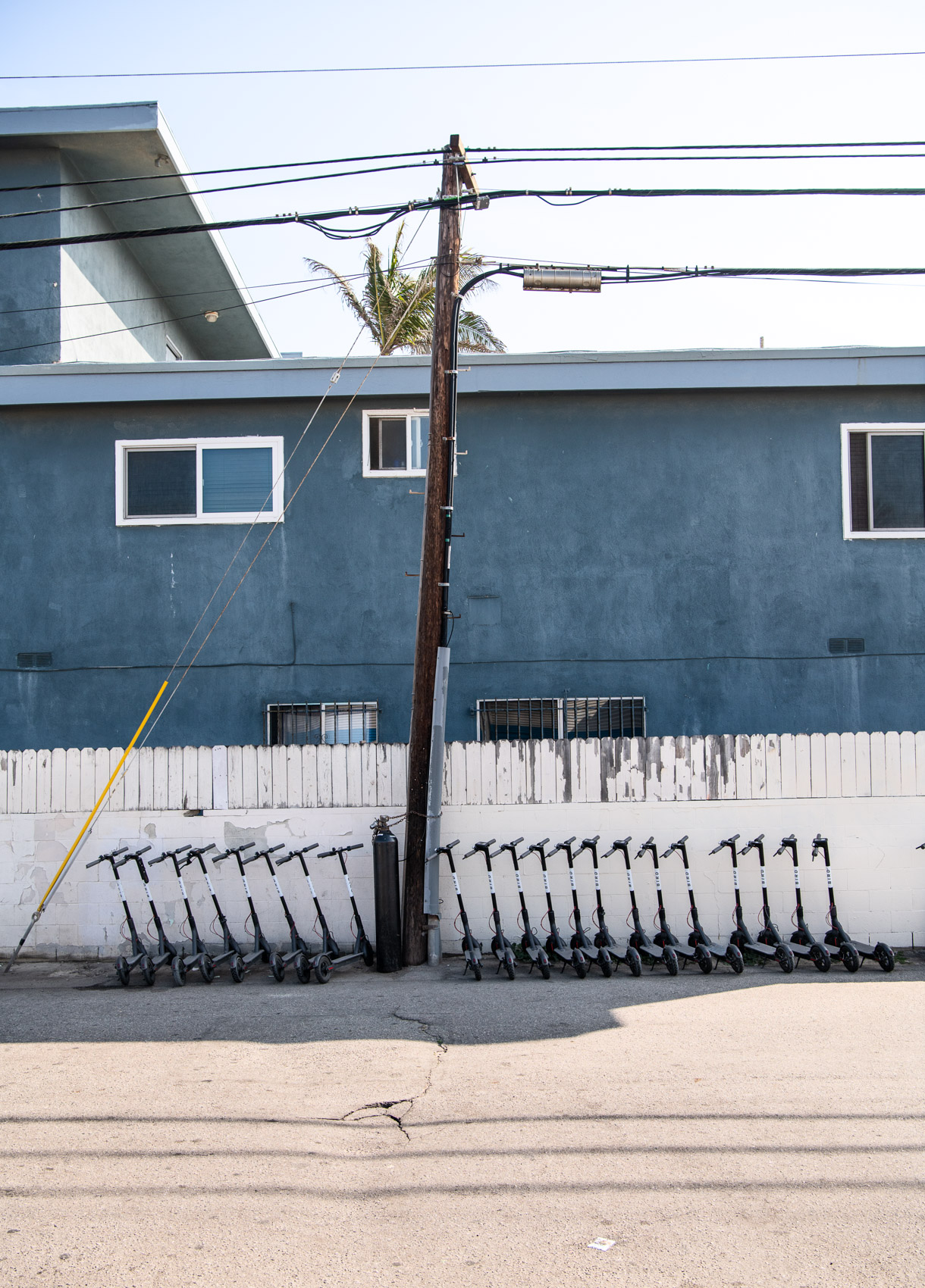 A row of parked Bird dockless scooters in an alley in Venice Beach.