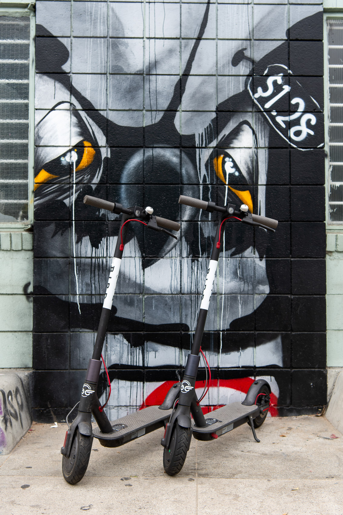 Bird Scooters in front of a mural in Venice Beach, Calif.