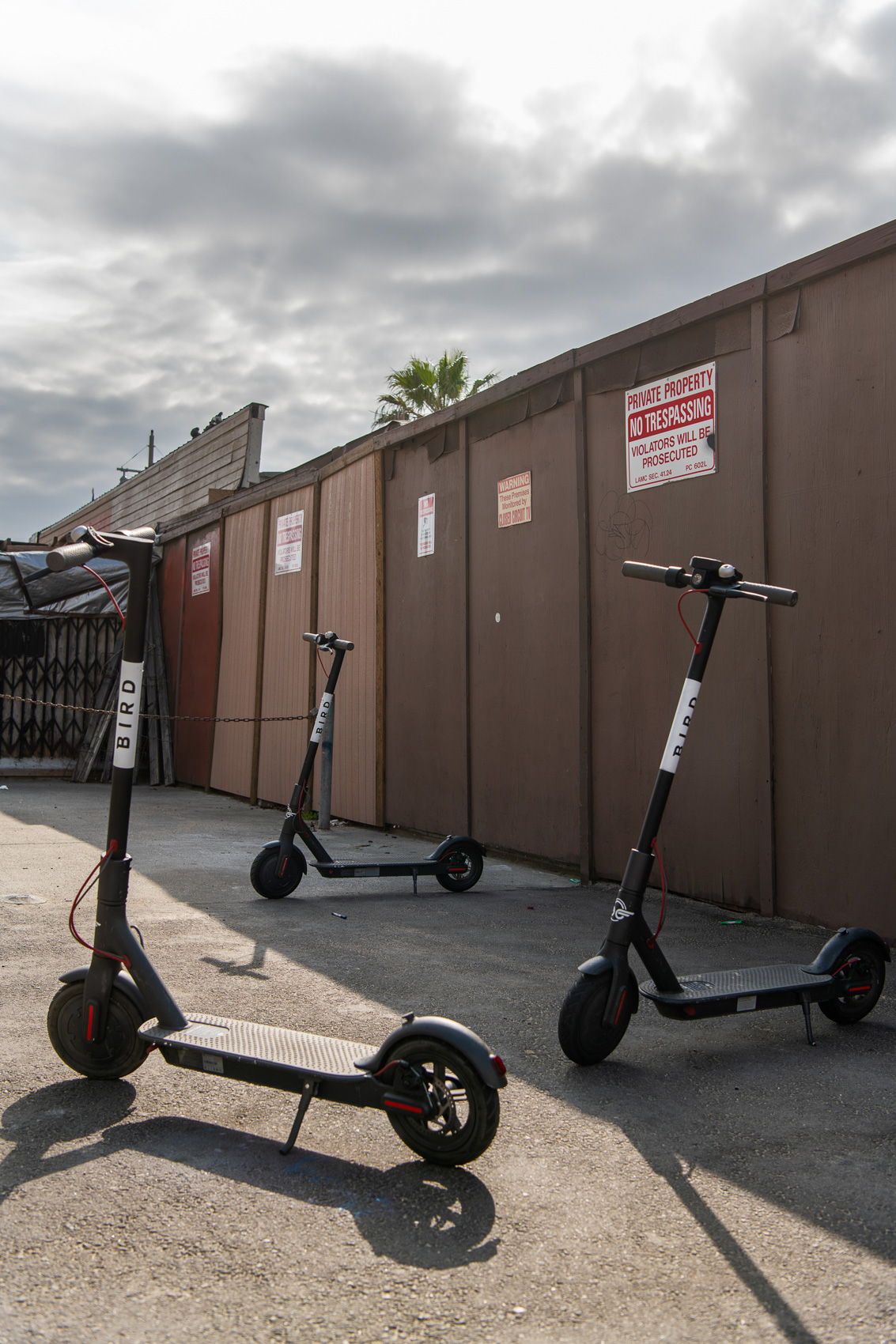 Several Bird scooters parked on the sidewalk near the Venice Beach boardwalk.