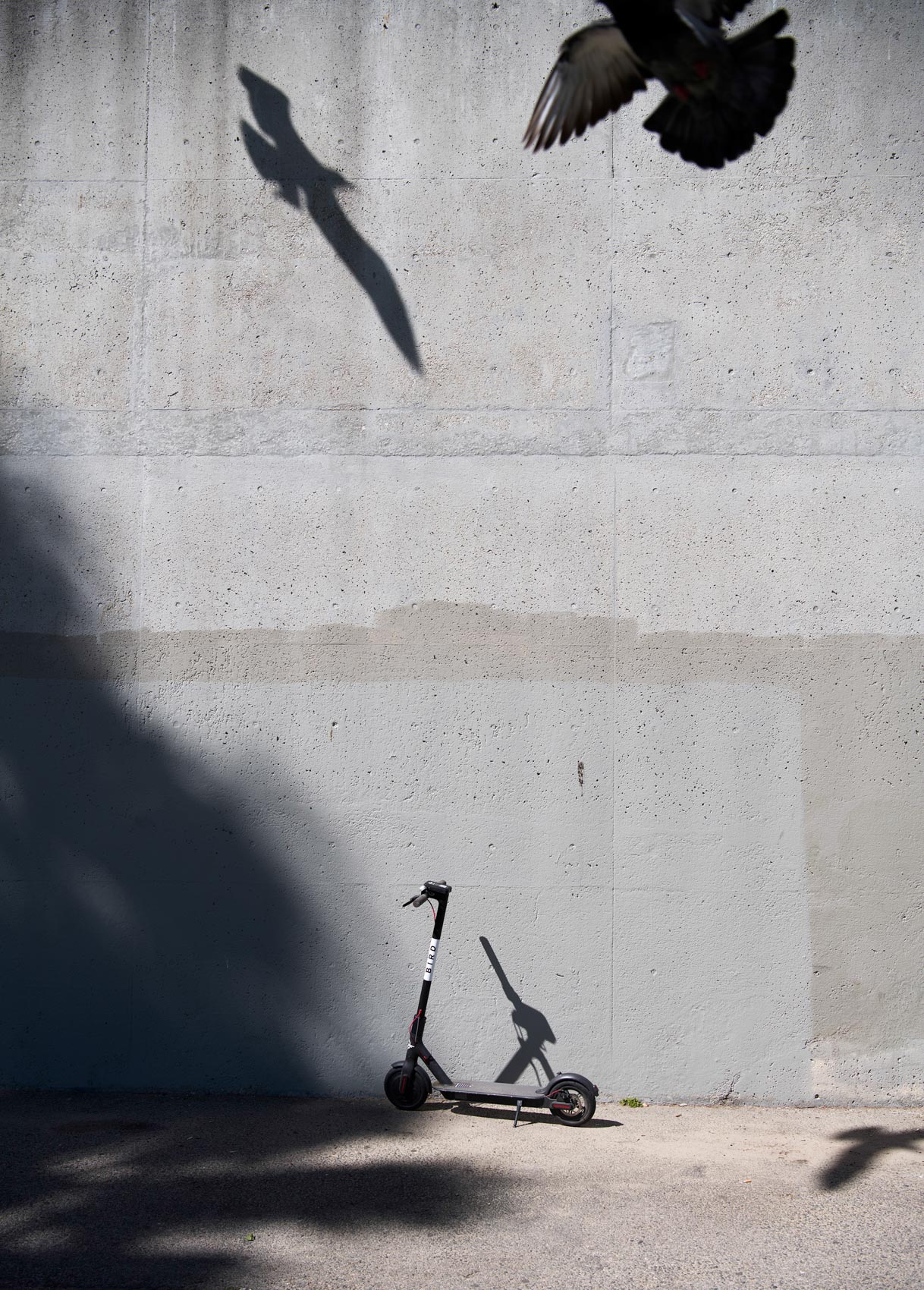 Bird Dockless Scooters photo series in Venice Beach, Calif.